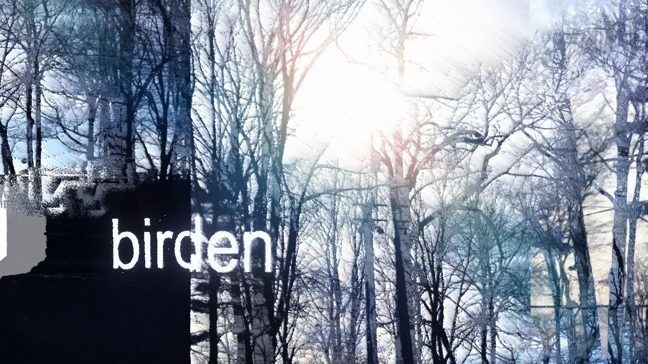 Miniature du projet Birden